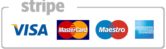 Stripe Payment Logo